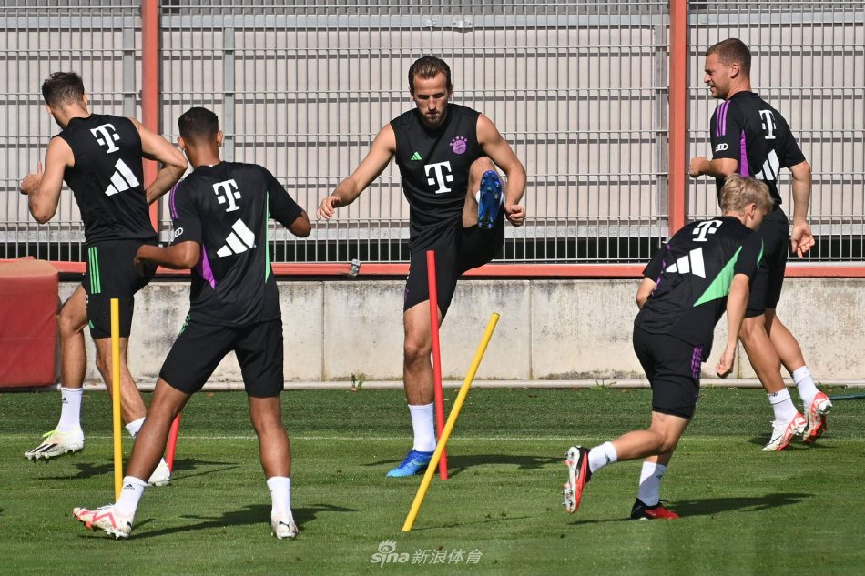 这意味着他 这意味着他